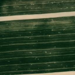 Satellite imagery of (Horní role [Leština]), CZ