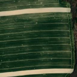 Satellite imagery of (Horní role [Leština]), CZ