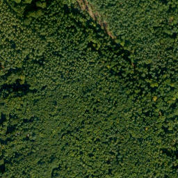 Satellite imagery of Dornberg, DE