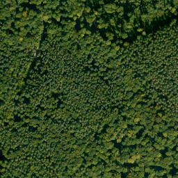 Satellite imagery of Dornberg, DE