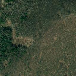 Satellite imagery of Trlina, CZ