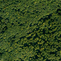 Satellite imagery of Rotenbuschberg, DE