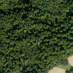 Satellite imagery of Rotenbuschberg, DE