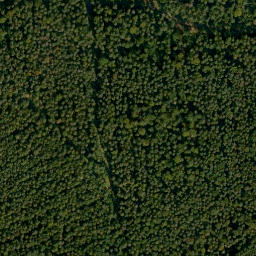 Satellite imagery of Türkenrangen, DE