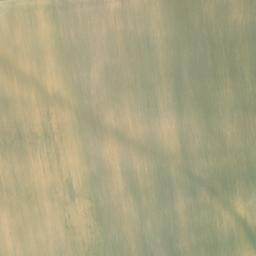 Satellite imagery of (Horní role [Leština]), CZ