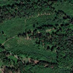 Satellite imagery of Baškovec [Rohle-Nedvězí], CZ