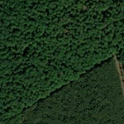 Satellite imagery of Gauchsberg, DE