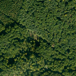 Satellite imagery of Rotenbuschberg, DE