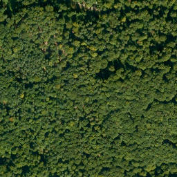 Satellite imagery of Rotenbuschberg, DE