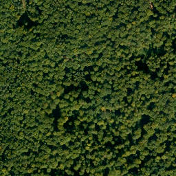 Satellite imagery of Neidberg, DE