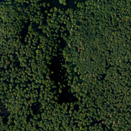 Satellite imagery of Altenberg, DE