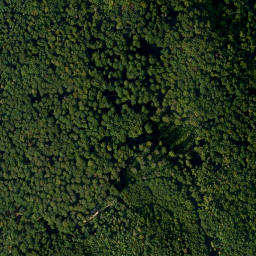 Satellite imagery of Altenberg, DE