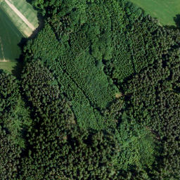 Satellite imagery of Nesserberg, DE