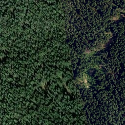 Satellite imagery of Kutschenstein, DE