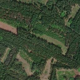 Satellite imagery of V Mezině [Lestkov], CZ
