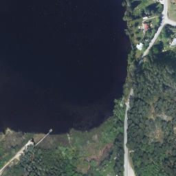 Satellite imagery of Leaning Tree Hill, CA