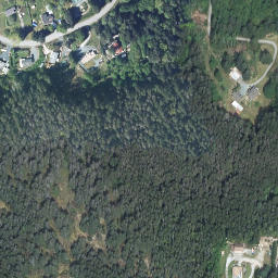 Satellite imagery of Leaning Tree Hill, CA