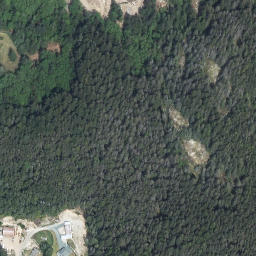 Satellite imagery of Leaning Tree Hill, CA