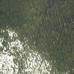 Satellite imagery of Walts Hill, CA