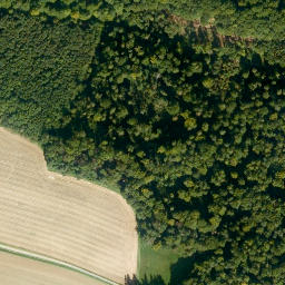 Satellite imagery of Hasenberg, DE