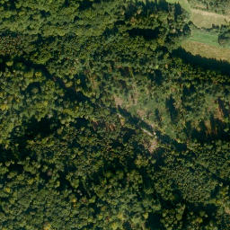 Satellite imagery of Hasenberg, DE