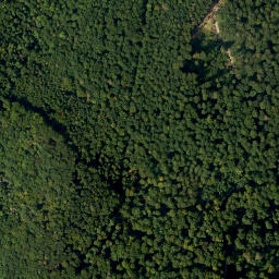 Satellite imagery of Rothenstein, DE