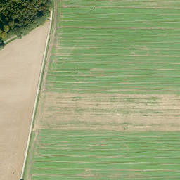 Satellite imagery of Altmauerhöhe, DE