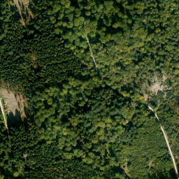 Satellite imagery of Eichelsberg, DE