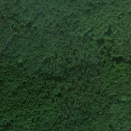 Satellite imagery of Kahlberg, DE