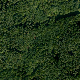 Satellite imagery of Bruderwald, DE