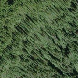 Satellite imagery of Leighton Peak, CA