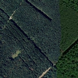 Satellite imagery of Homberg, DE