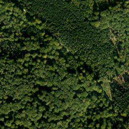 Satellite imagery of Eichelsberg, DE