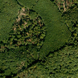 Satellite imagery of Querberg, DE