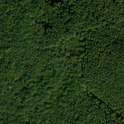 Satellite imagery of Bruderwald, DE