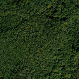 Satellite imagery of Bruderwald, DE