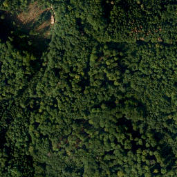 Satellite imagery of Pfarrwaldfelsen, DE