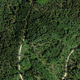 Satellite imagery of Tannenberg, DE