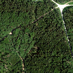 Satellite imagery of Tannenberg, DE