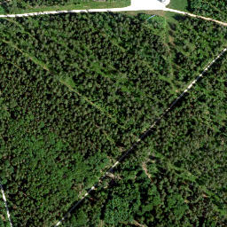 Satellite imagery of Tannenberg, DE