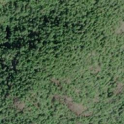 Satellite imagery of Leading Hill, CA