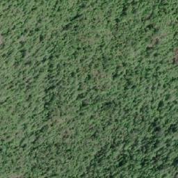 Satellite imagery of Leading Hill, CA