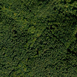 Satellite imagery of Eichelsberg, DE