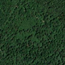 Satellite imagery of Baumwipfelpfad Ebrach, DE