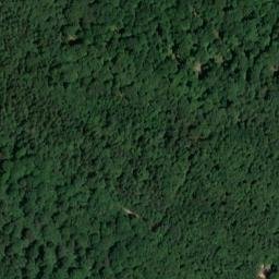 Satellite imagery of Baumwipfelpfad Ebrach, DE