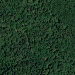 Satellite imagery of Lausbühl, DE