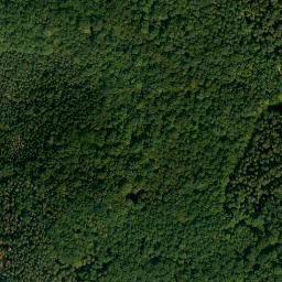 Satellite imagery of Bruderwald, DE