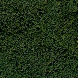 Satellite imagery of Bruderwald, DE