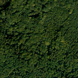 Satellite imagery of Bruderwald, DE