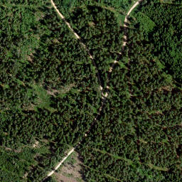 Satellite imagery of Tannenberg, DE